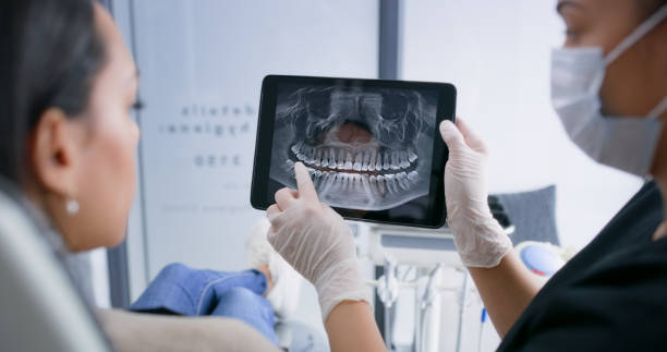 Best Broken or Chipped Tooth Repair in Woodland Beach, MI